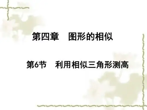 4.6利用相似三角形测高