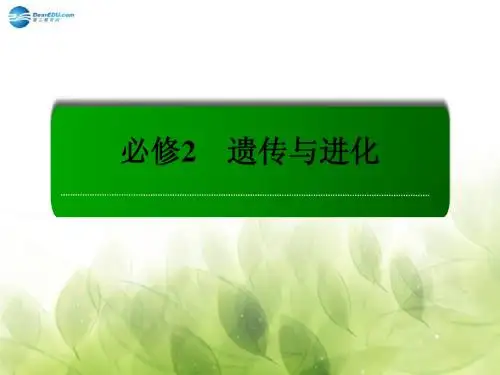 【红对勾】2015高考生物一轮总复习 第7章 现代生物进化理论课件 新人教版必修2