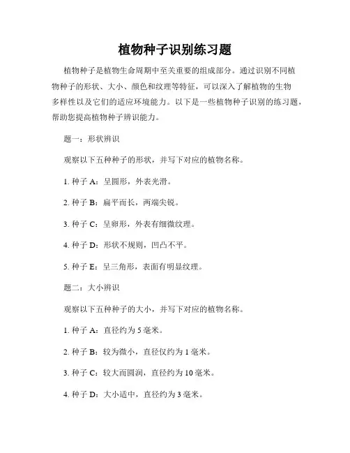 植物种子识别练习题