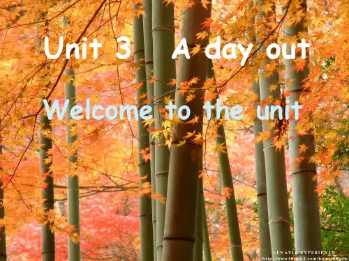 英语：Unit 3 Welcome to the Unit 课件(译林牛津版八年级上)