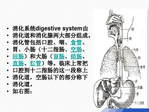 消化道穿孔护理查经典PPT