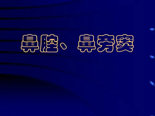 鼻、鼻窦影像学表现ppt课件