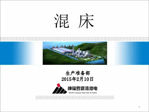 混床ppt课件