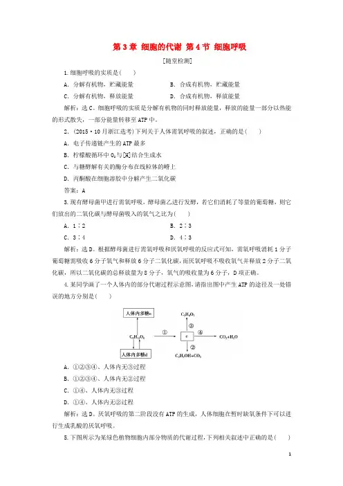 2017高中生物第3章细胞的代谢第4节细胞呼吸习题浙科版1解析