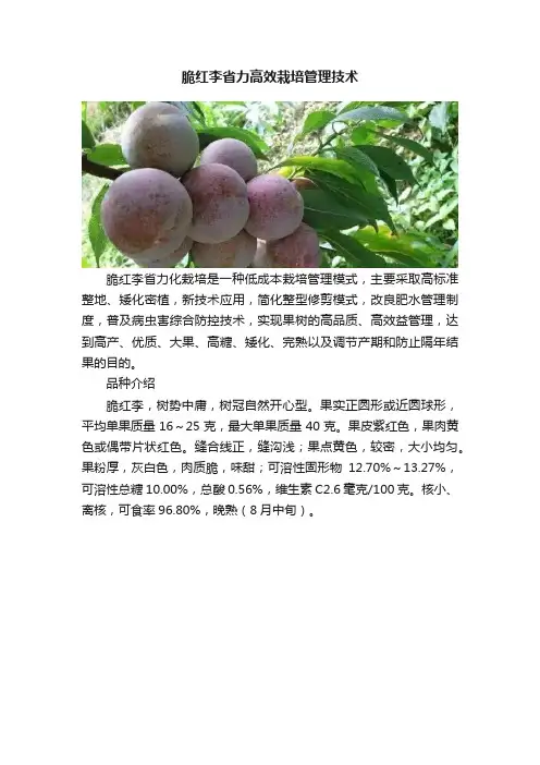 脆红李省力高效栽培管理技术