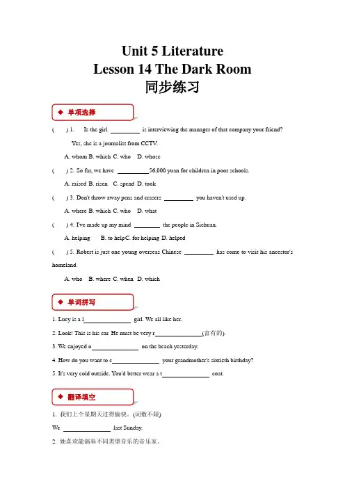 北师大版九年级英语全一册同步练习题Unit 5 Lesson 14