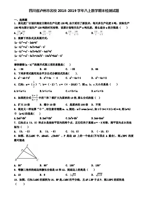 四川省泸州市名校2018-2019学年八上数学期末检测试题