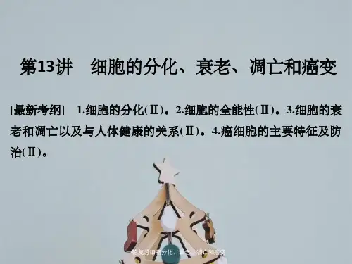 一轮复习细胞分化、衰老、凋亡和癌变