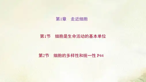 新教材人教版高中生物必修1分子与细胞 第1章走近细胞 习题课件(精选配套练习题含解析)