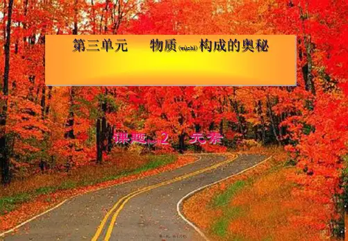 九年级化学上册 3.3 元素教学课件 