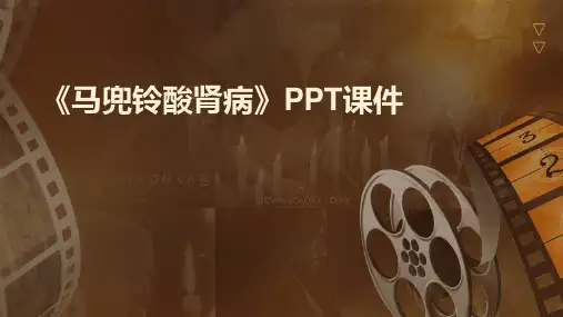 《马兜铃酸肾病》课件