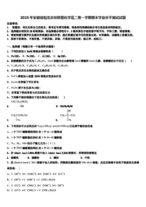 2023年安徽省皖北名校联盟化学高二第一学期期末学业水平测试试题含解析