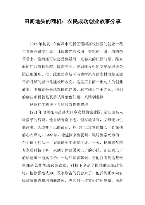 田间地头的商机：农民成功创业故事分享