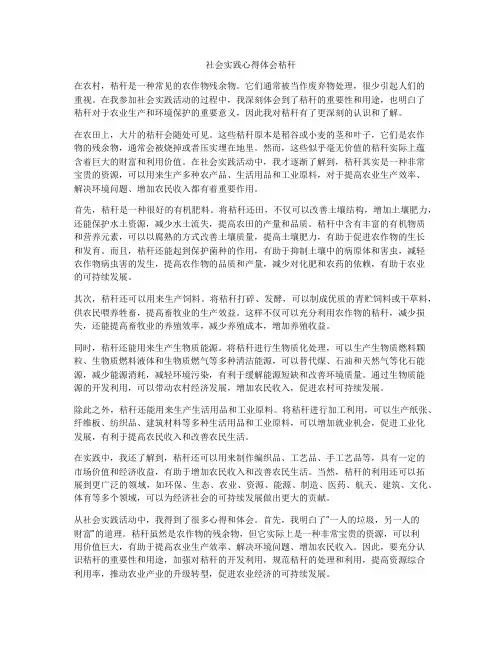 社会实践心得体会秸秆