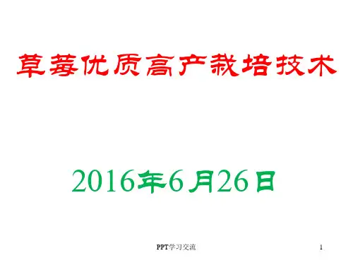 草莓种植管理课件