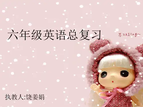 小学英语名词单数变复数精品PPT课件 图文