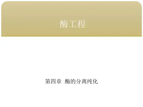 酶工程 第四章酶的分离纯化 第二节酶的提取