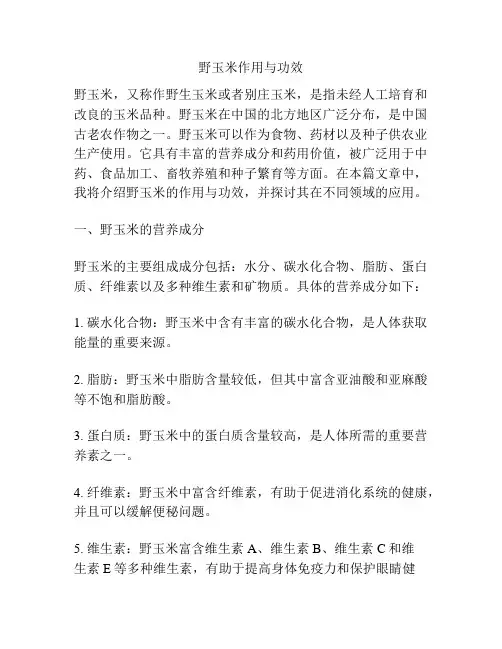 野玉米作用与功效