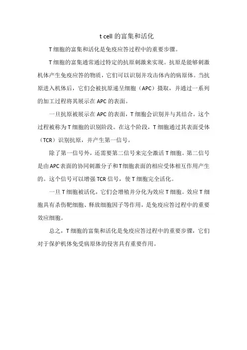t cell的富集和活化