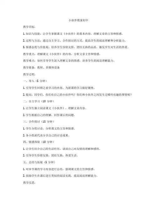 小伙伴教案初中