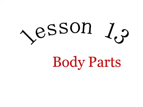 冀教版英语七上Unit 3《Lesson 13 Body Parts》ppt课件