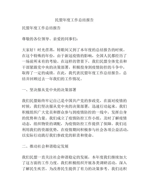 民盟年度工作总结报告