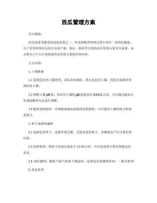 西瓜管理方案
