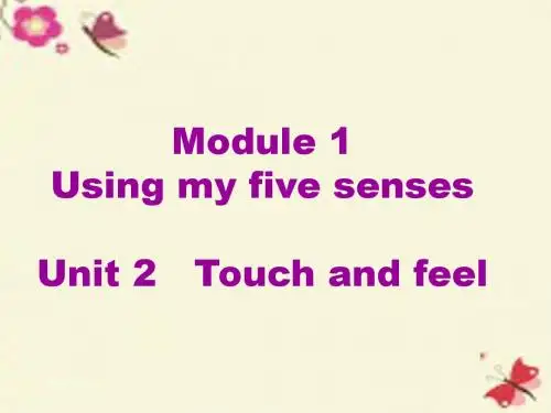 牛津上海版(深圳)英语二下Unit 2《Touch and feel》ppt课件1