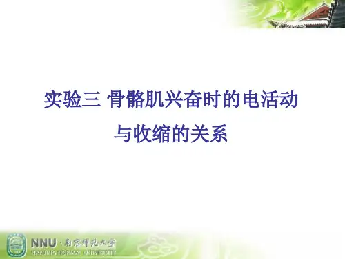 实验 骨骼肌兴奋时的电活动与收缩的关系