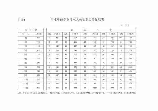 事业单位专业技术人员工资标准表