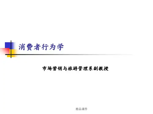 第一章消费者行为与市场营销ppt课件
