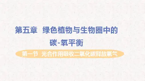 人教版七年级生物上册第三单元第五章第六章PPT