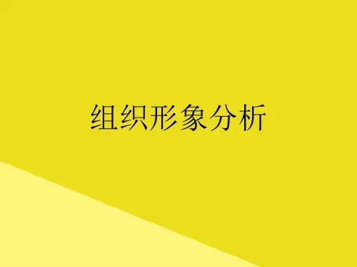 组织形象分析PPT资料(正式版)
