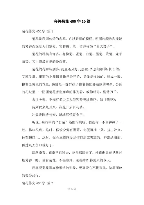有关菊花400字10篇