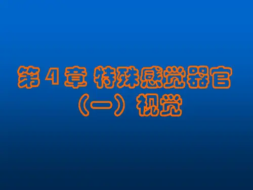 视觉