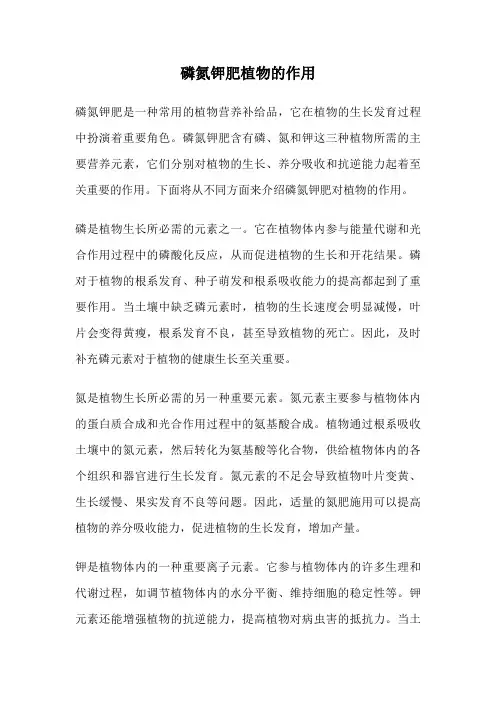 磷氮钾肥植物的作用