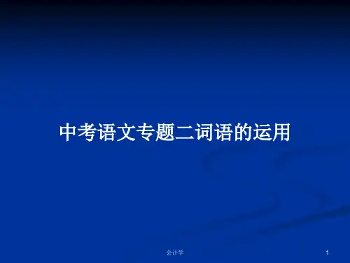 中考语文专题二词语的运用PPT学习教案