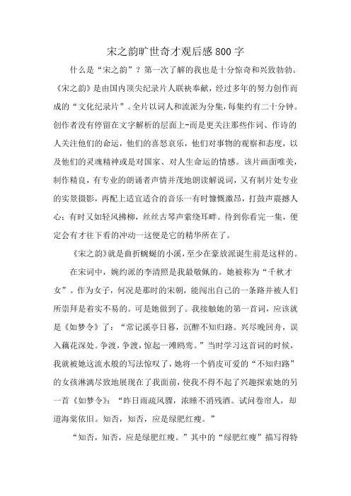 宋之韵旷世奇才观后感800字