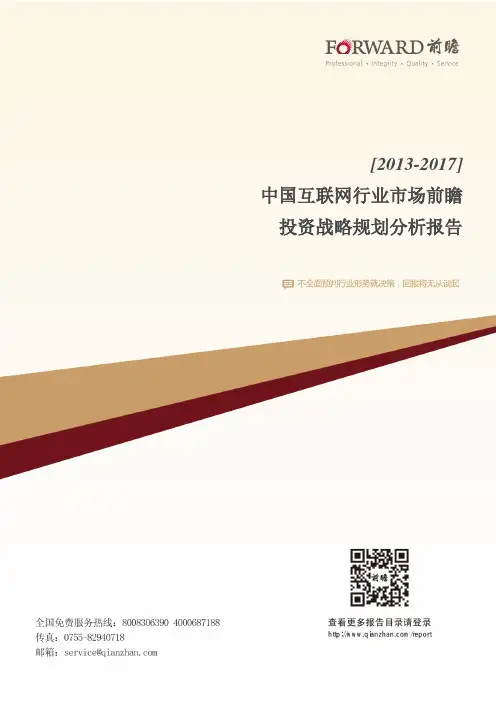 2013-2017年中国互联网行业市场前瞻与投资战略规划分析报告