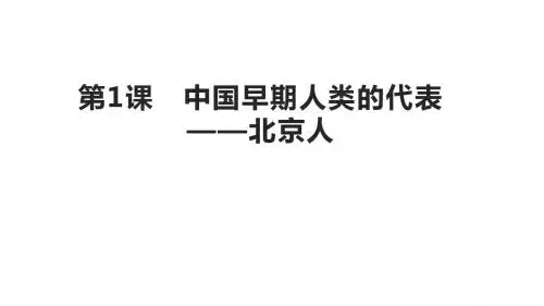 人教版七年级历史上册(2016部编版)第一课《中国早期人类的代表——北京人》课件(19张PPT)