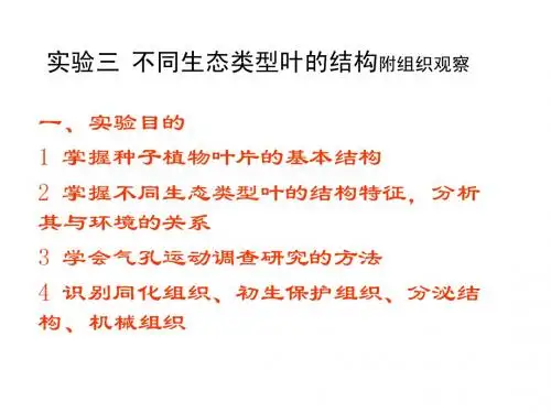 实验三不同生态类型叶的结构