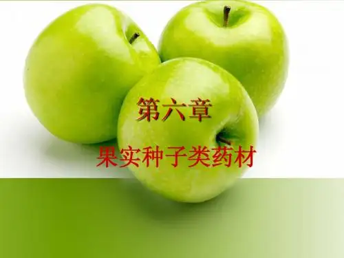 第六章 果实种子类1