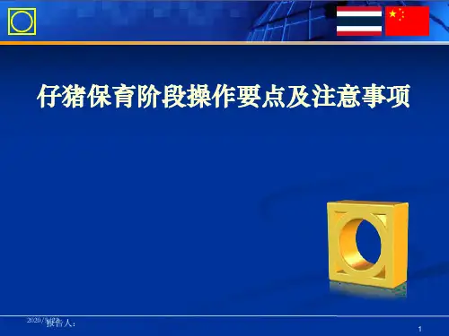 仔猪保育阶段操作要点及注意事项PPT课件