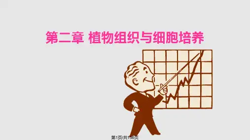 21植物组织与细胞培养技术PPT课件