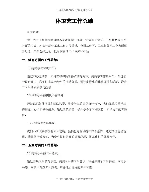 体卫艺工作总结