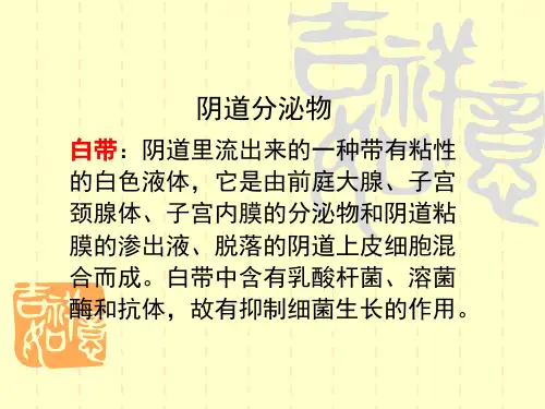 白带常规检查PPT课件