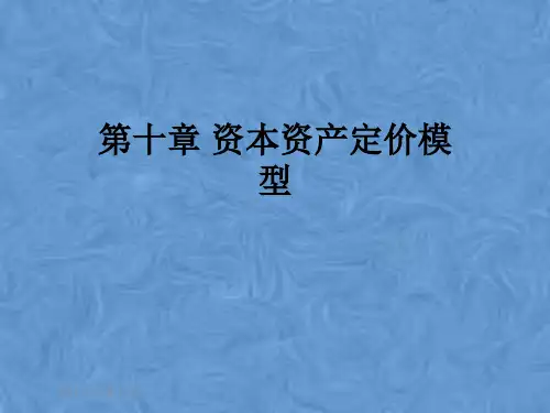 第十章 资本资产定价模型