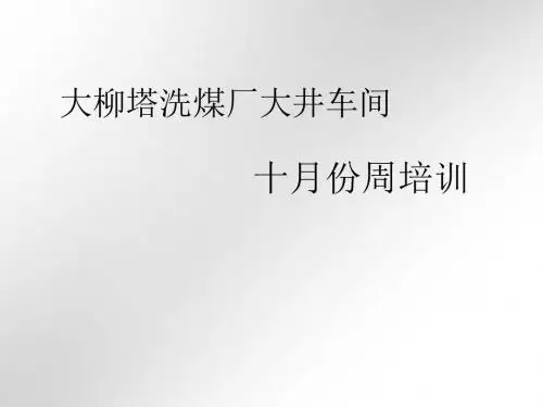 洗煤厂大井车间培训教材(PPT 31张)