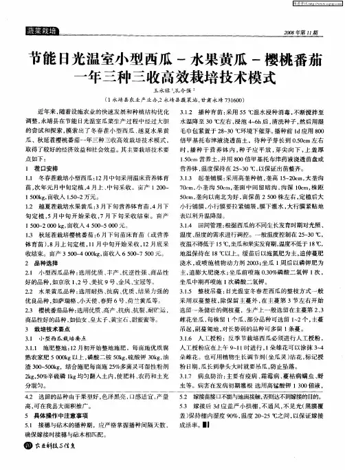 节能日光温室小型西瓜-水果黄瓜-樱桃番茄一年三种三收高效栽培技术模式