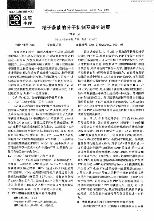 精子获能的分子机制及研究进展